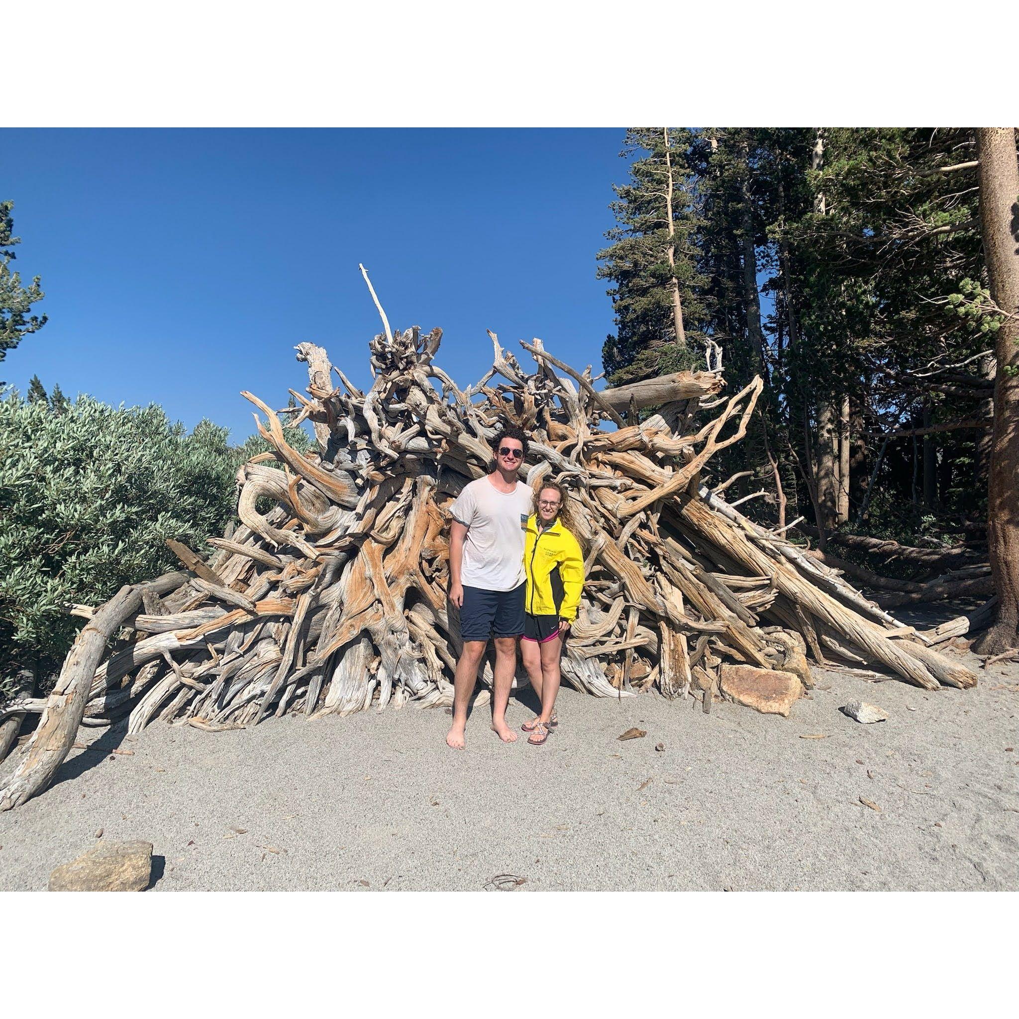 During our Mammoth adventures, we stumbled upon a cool wooden treasure...