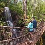 Foxfire Adventure Park