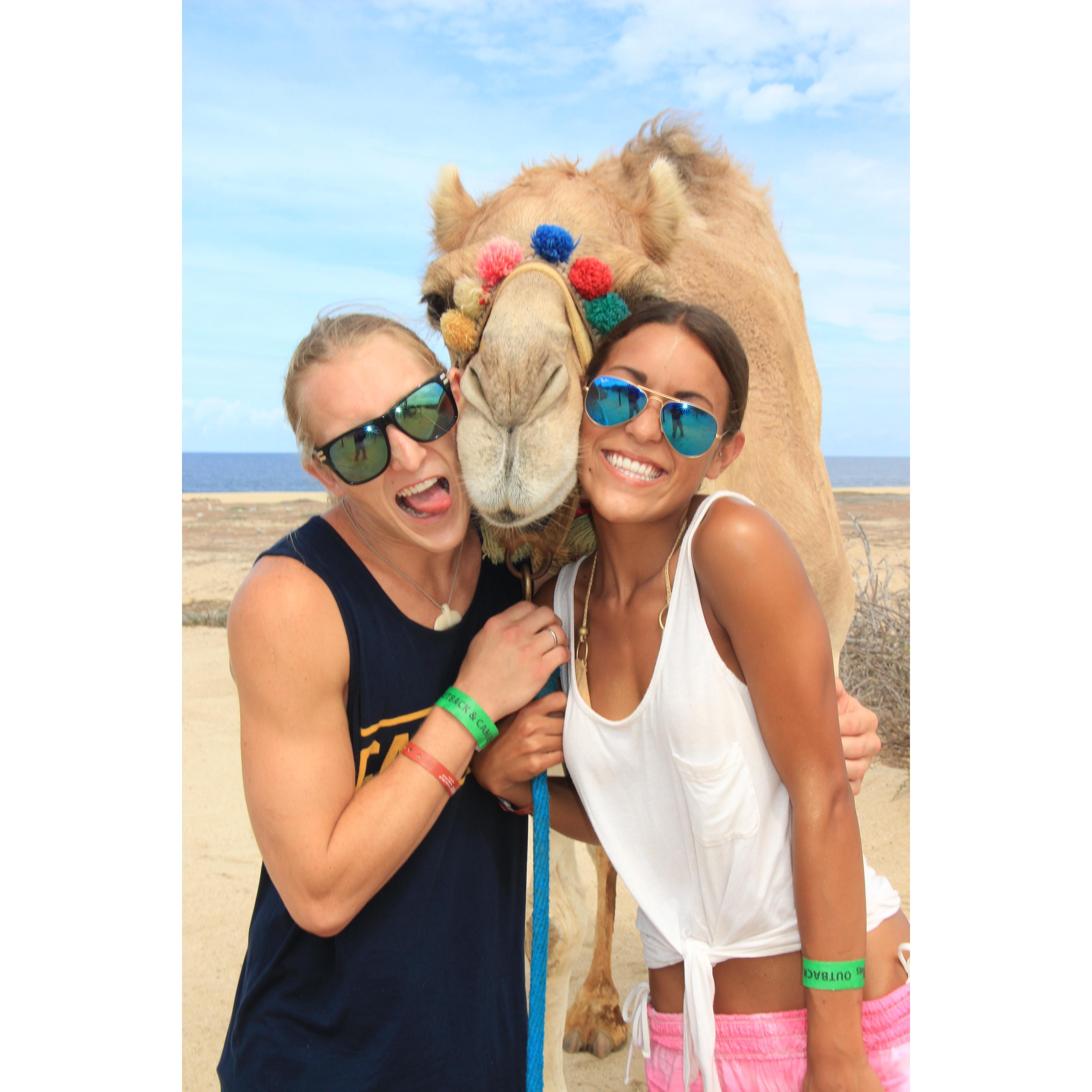CABO 2014
