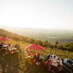 Carter Mountain Orchard