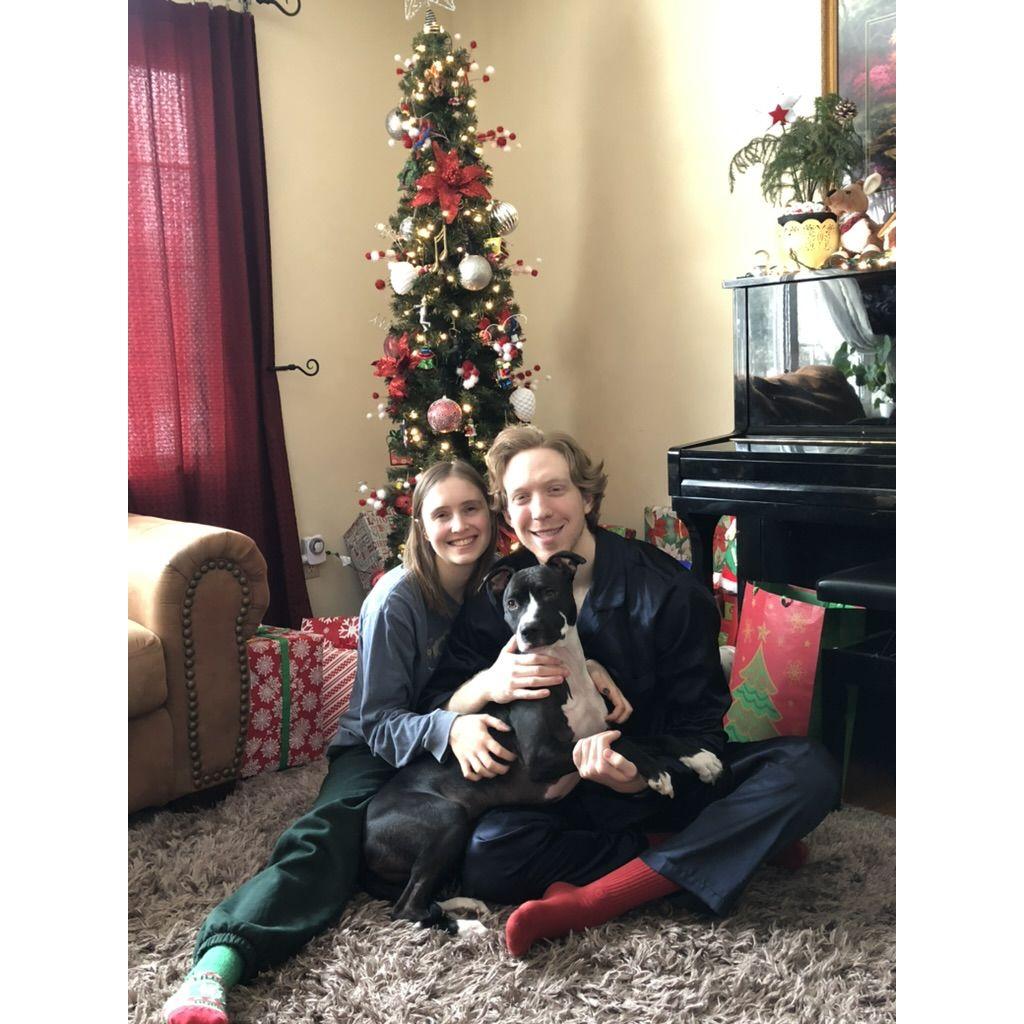Our first Christmas with Basil, 2020