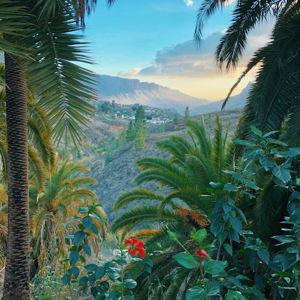 Honeymoon to the Canary Islands - Venmo