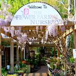The Flower Farm Cafe & Nursery