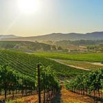 More Things to do in Temecula Valley