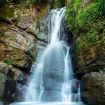 El Yunque National Forest