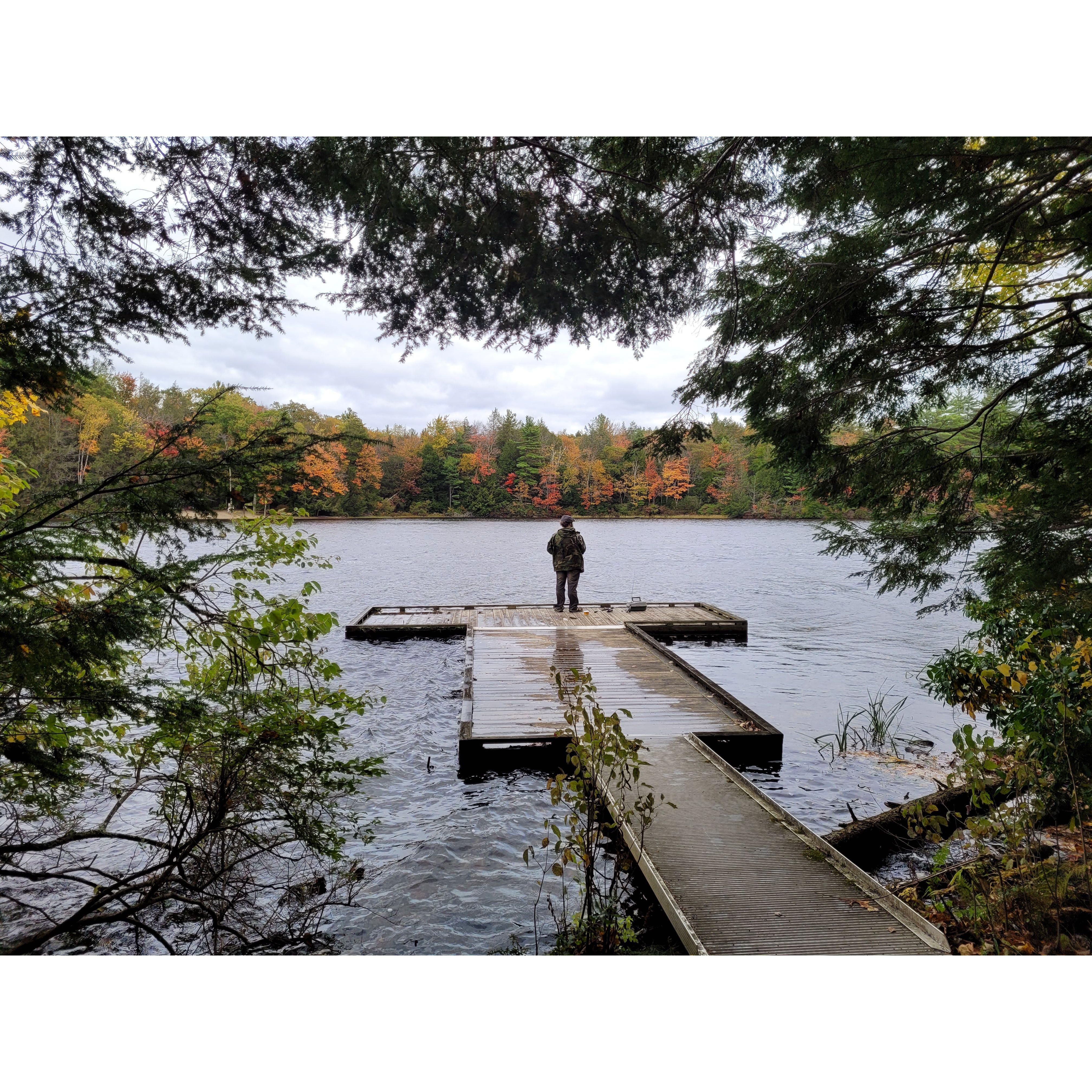 A Baraq in his natural habitat