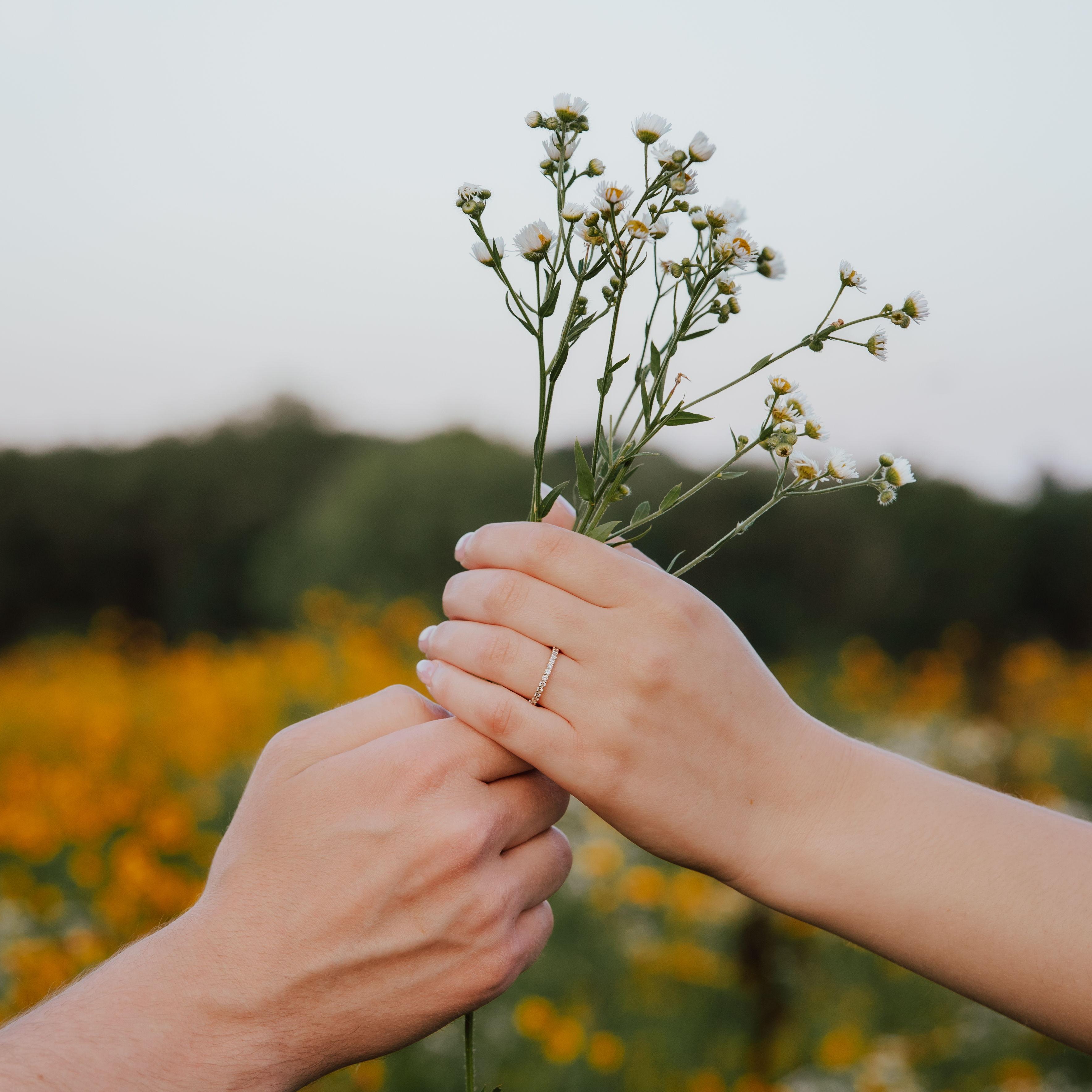 Hero Slideshow Image 5