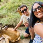 FAWN-DOE-ROSA Wildlife Educational Park