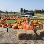 Wallingford's Fruit House