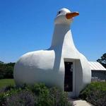 The Big Duck