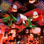 Señor Frogs