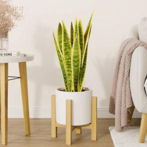 Easy Plant, 2 self-watering plant and planters