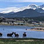 Estes Park