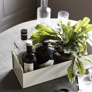 Plant Box