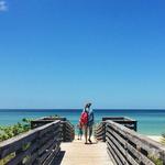 Honeymoon Island