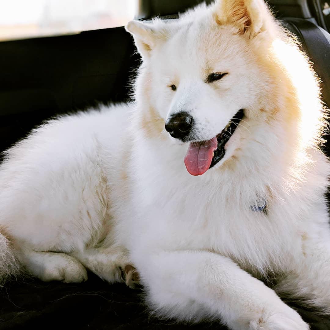 Hiro