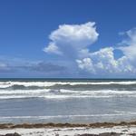 Canaveral National Seashore