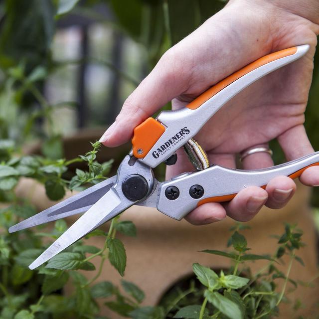 Long Snips