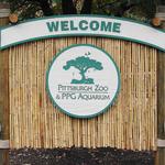 Pittsburgh Zoo & Aquarium