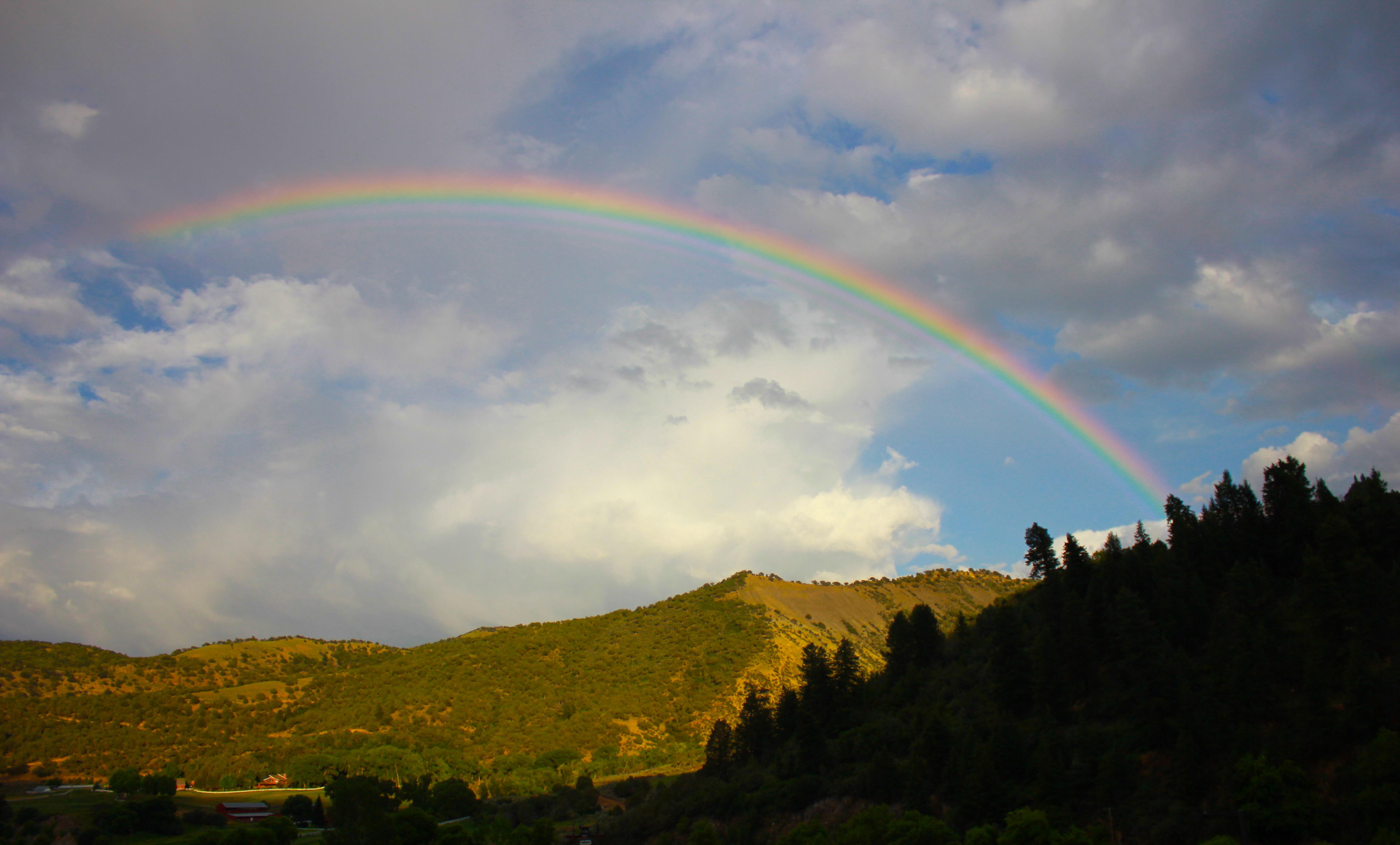 The Wedding Website of Jennifer Thompson and Peter Rumbach