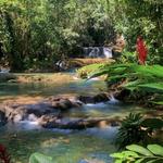 YS Falls