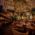 KOMODO Restaurant
