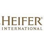 Heifer International