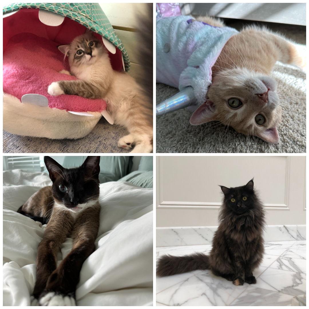 Our babies!