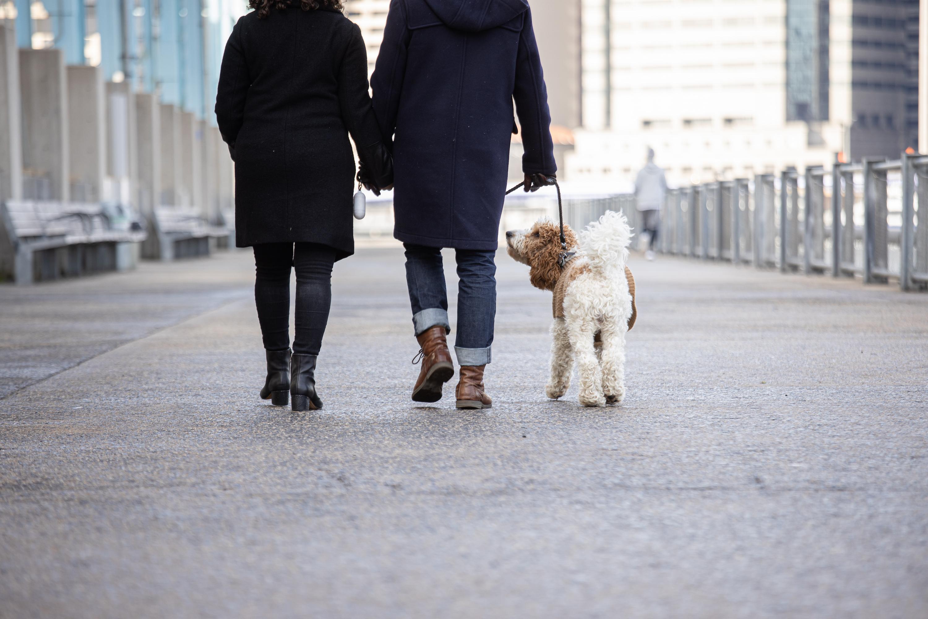 The Wedding Website of Lara Perlstein and Mark Creedon