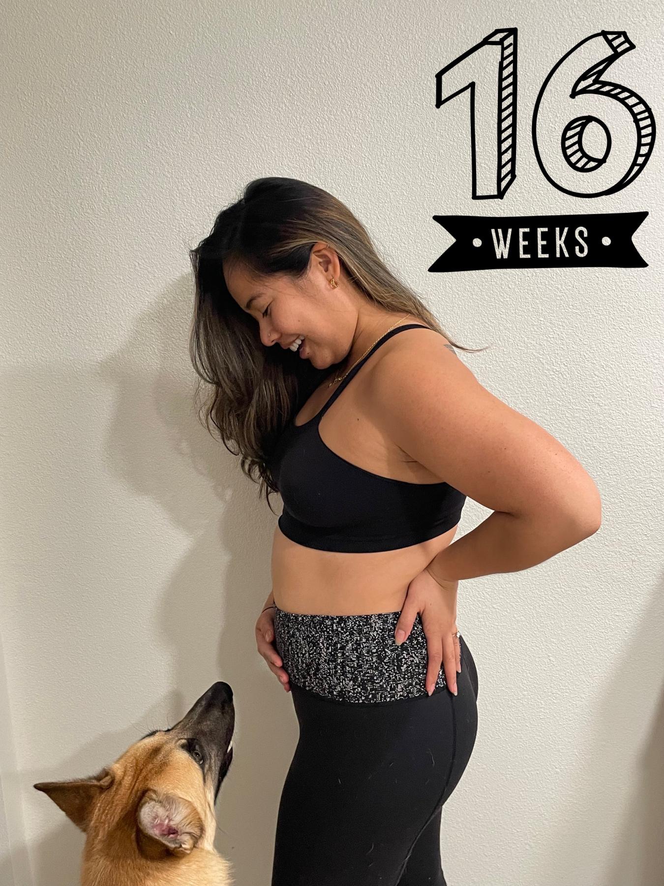 16 weeks - Baby Arty is the size of an avocado!