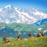 Rocky Mountain National Park