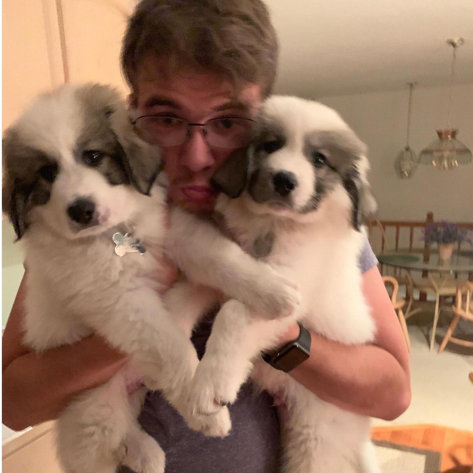 Talk about puppy love.