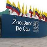 Parqueadero Zoológico De Cali