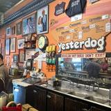 Yesterdog