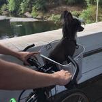 Biking