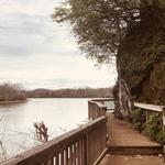 Ijams Nature Center