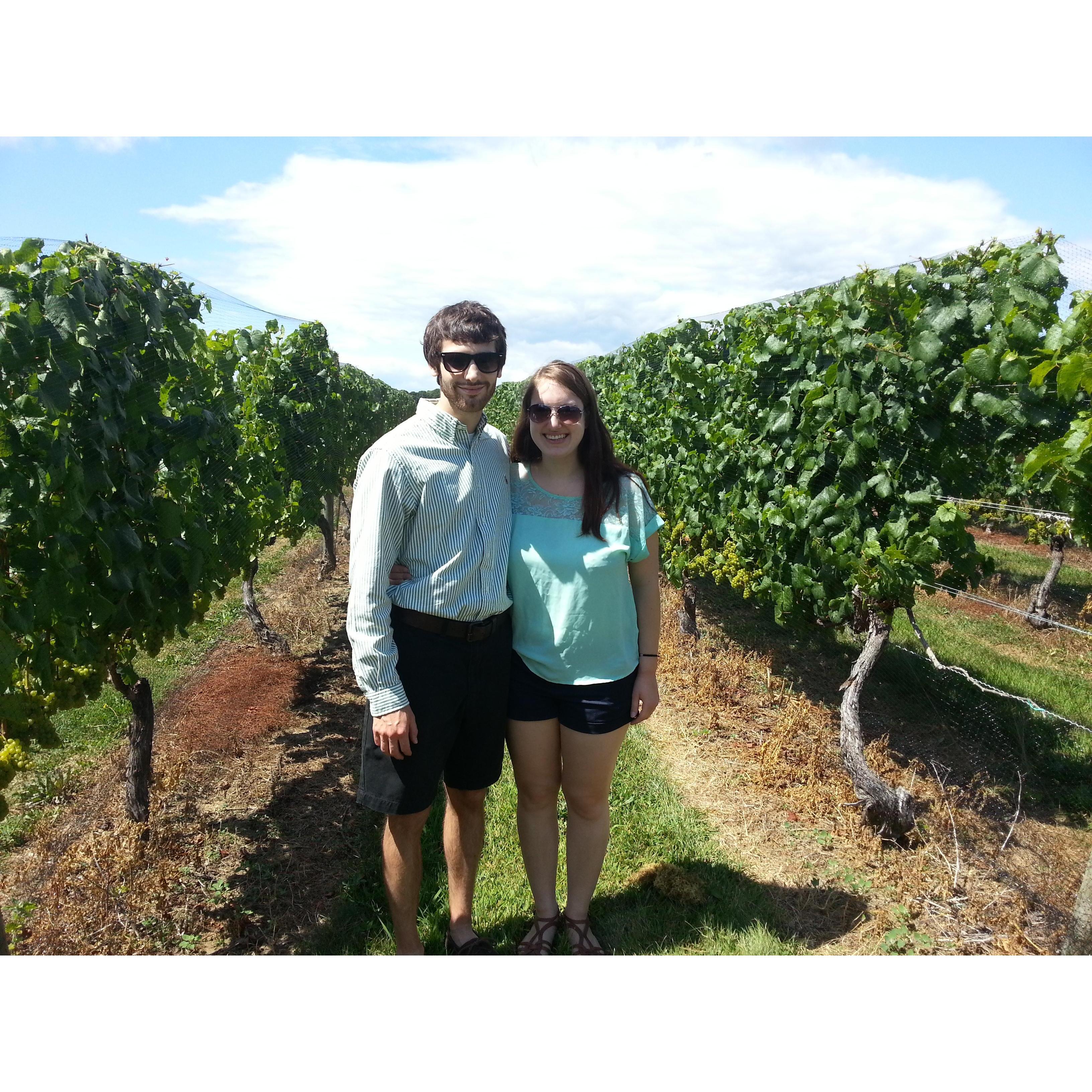 Wine tasting at Bedell Cellars
2014