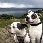 Discovery Park