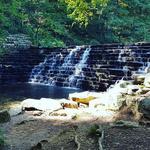 Laurel Hill State Park