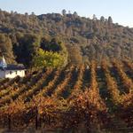 Butterfly Creek Winery