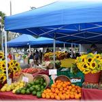 St. Petersburg Saturday Morning Market