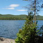 Sterling Pond Trail