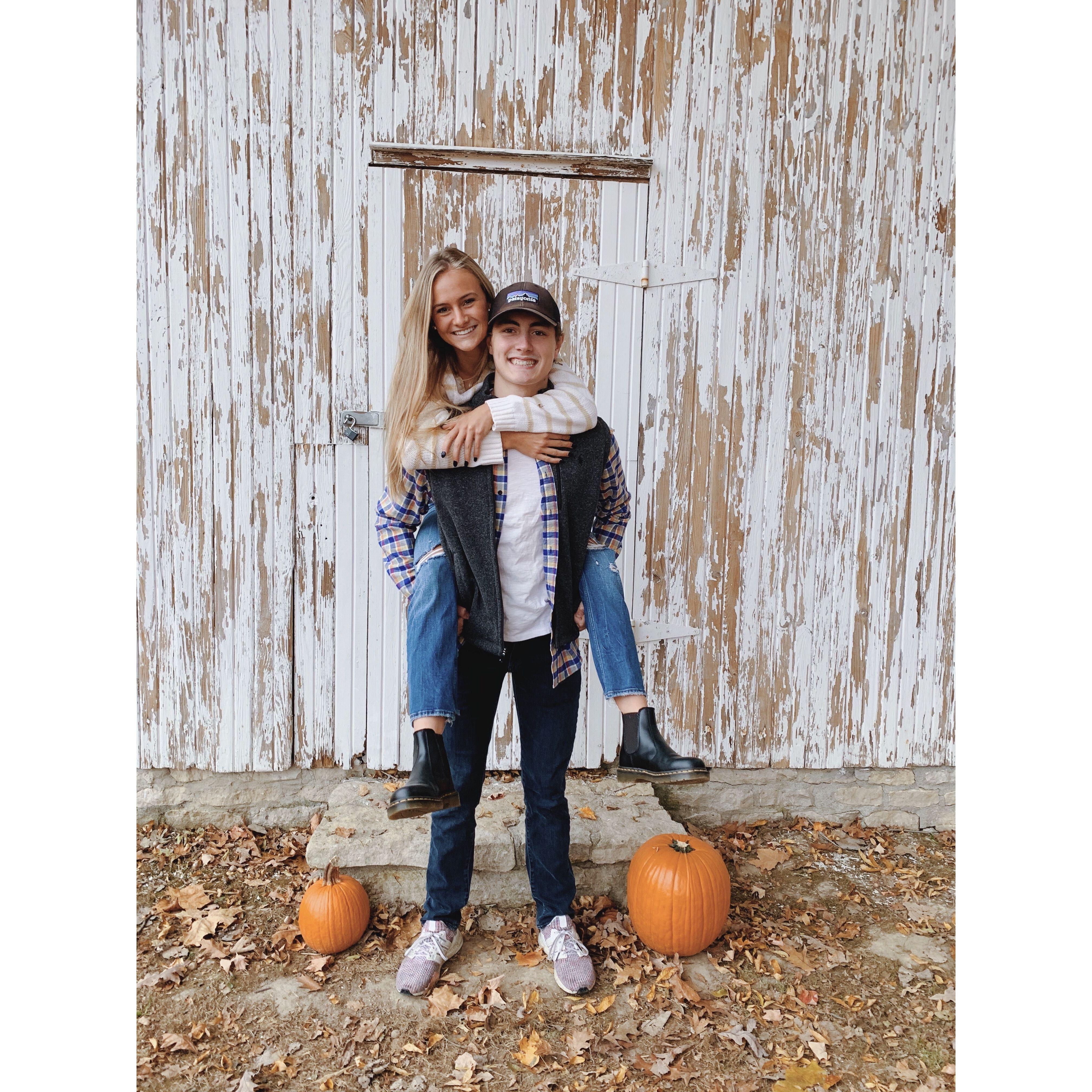 Freemans Farm pumpkin patch never disappointed