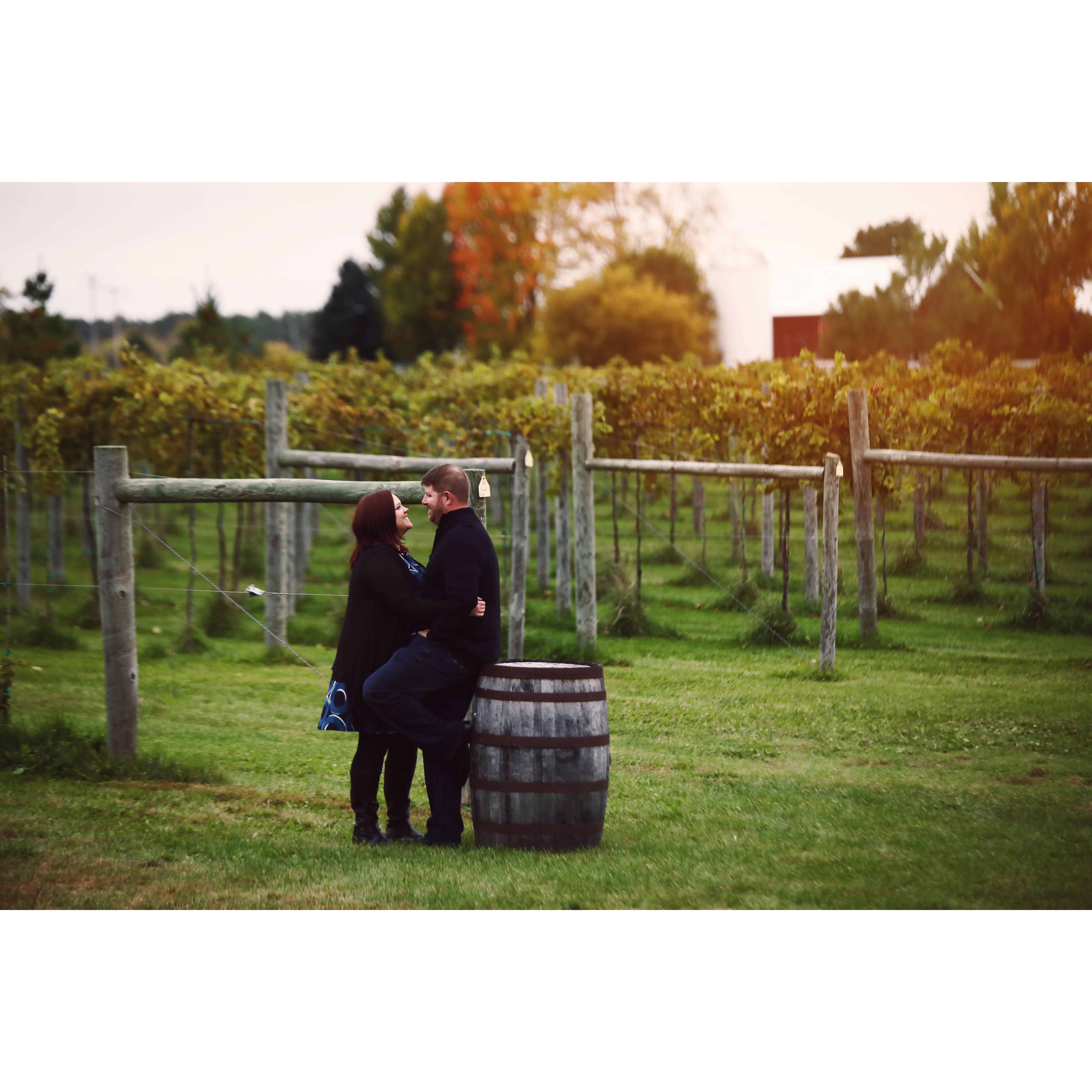 Engagement pictures at Whistler's Knoll Vineyard.