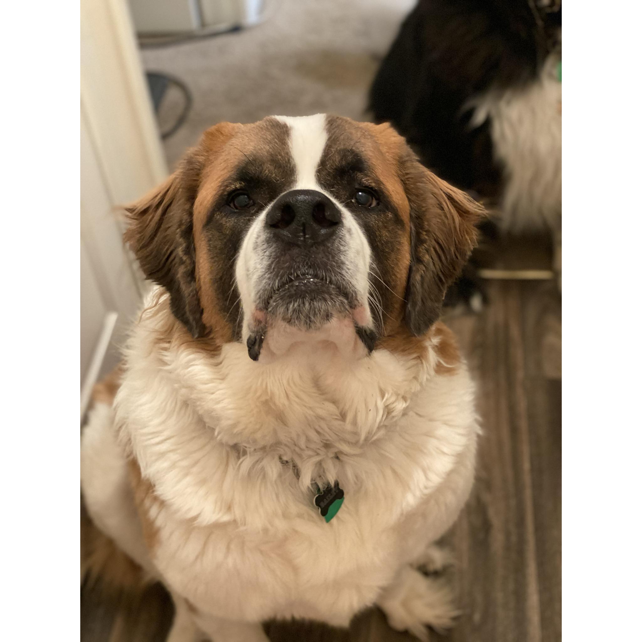 Bailey