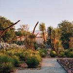 Jardín Etnobotánico de Oaxaca