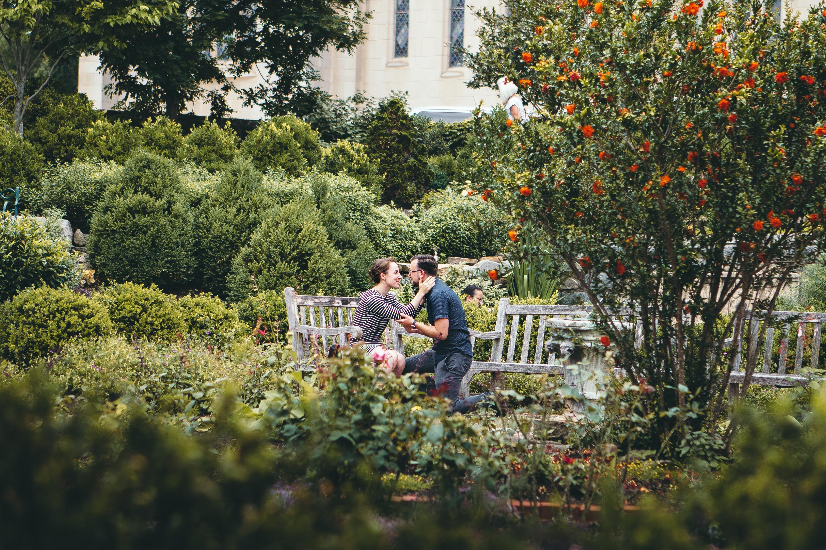 The Wedding Website of Ellyn Hefflefinger and Christopher Rothgeb