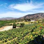 🍷Monte Xanic Bodega Vinícola