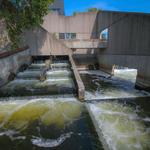 Fish Ladder Park