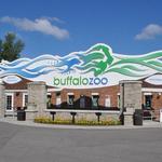 The Buffalo Zoo